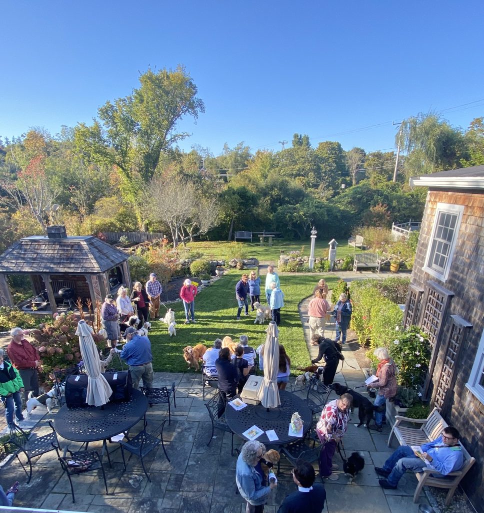 a gather of people outside on a sunny day with clear blue skies for the blessing of the animals