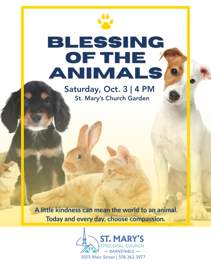 Blessing of the animals, Sat. Oct 3 at 4 pm at St Mary's church garden